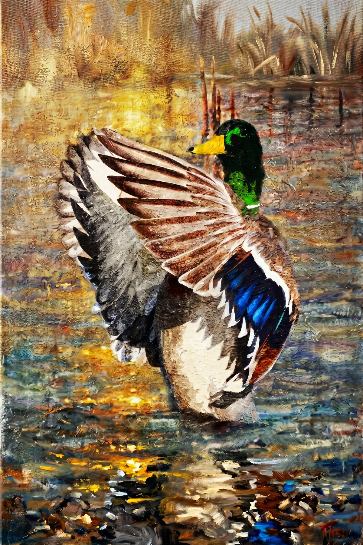 Painting Mallard Duck