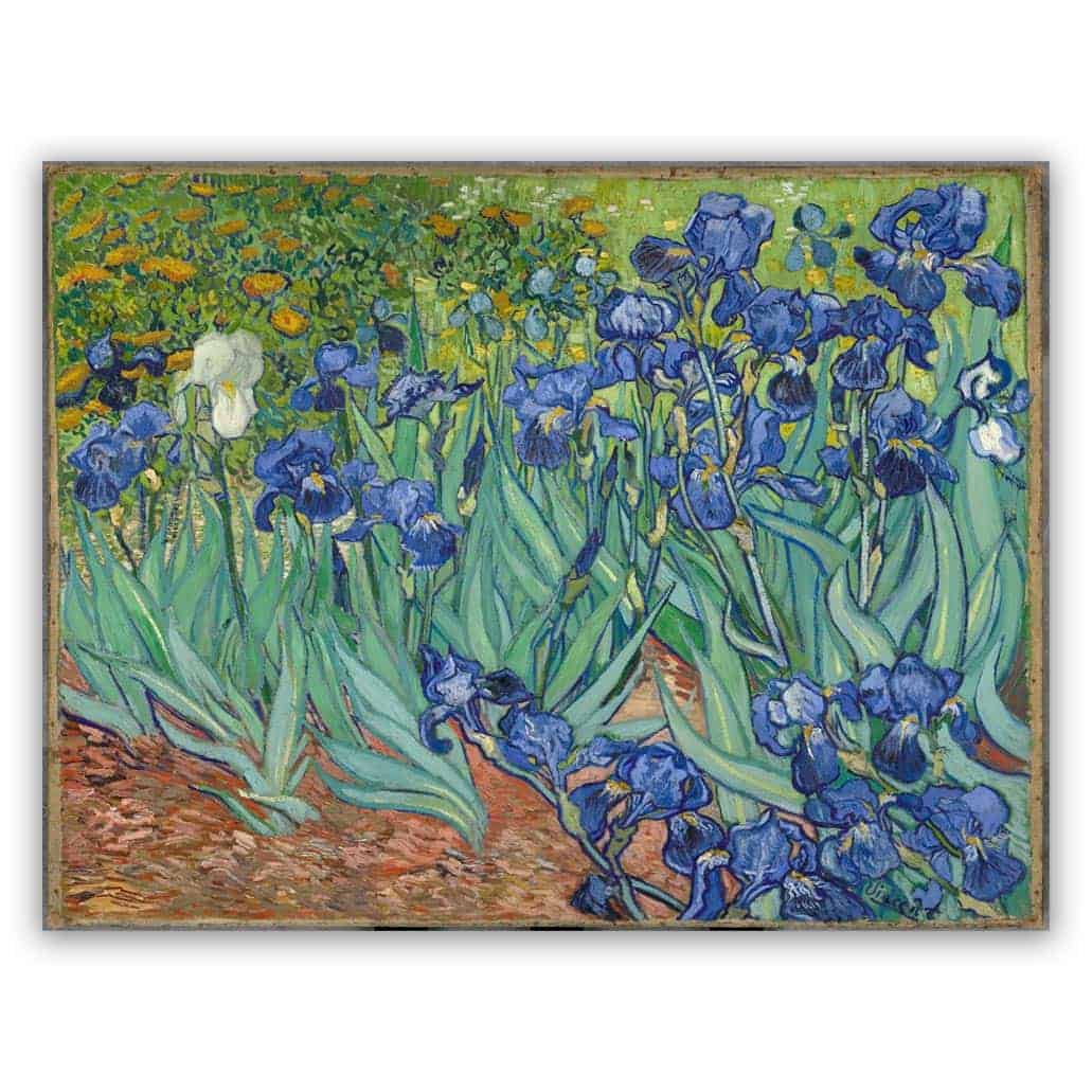 Vincent van Gogh Irissen schilderij