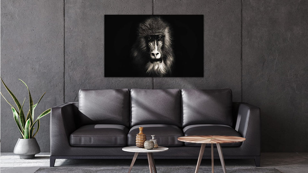 Aap Zwart Wit