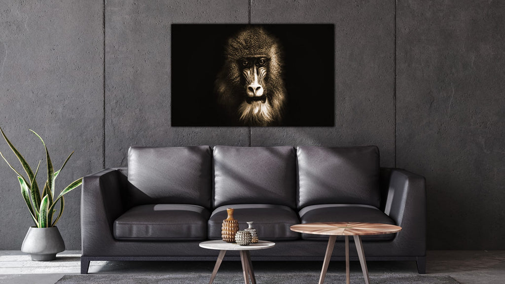 Aap Zwart Wit
