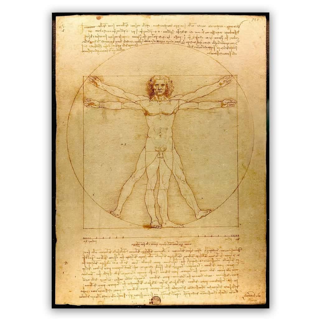 Mens van Vitruvius schilderij Leonardo da Vinci