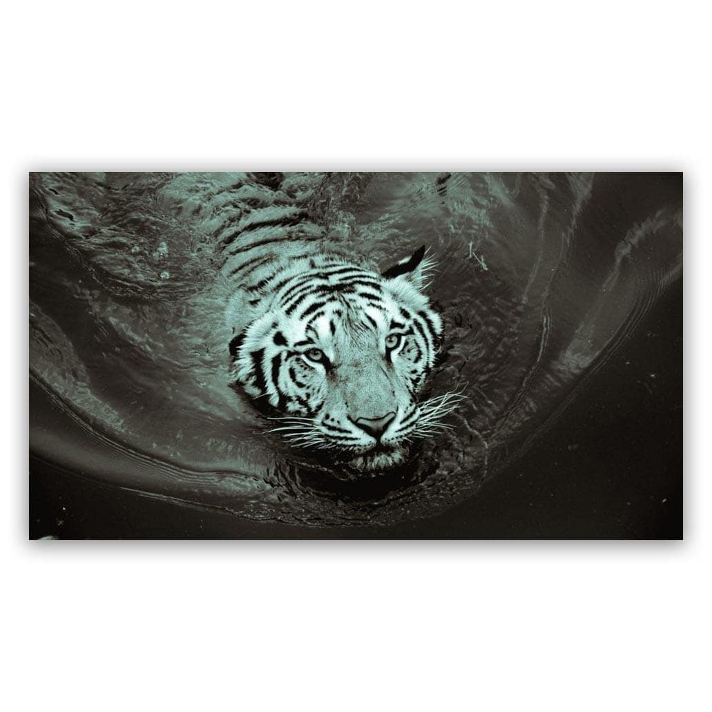 White Tiger 4